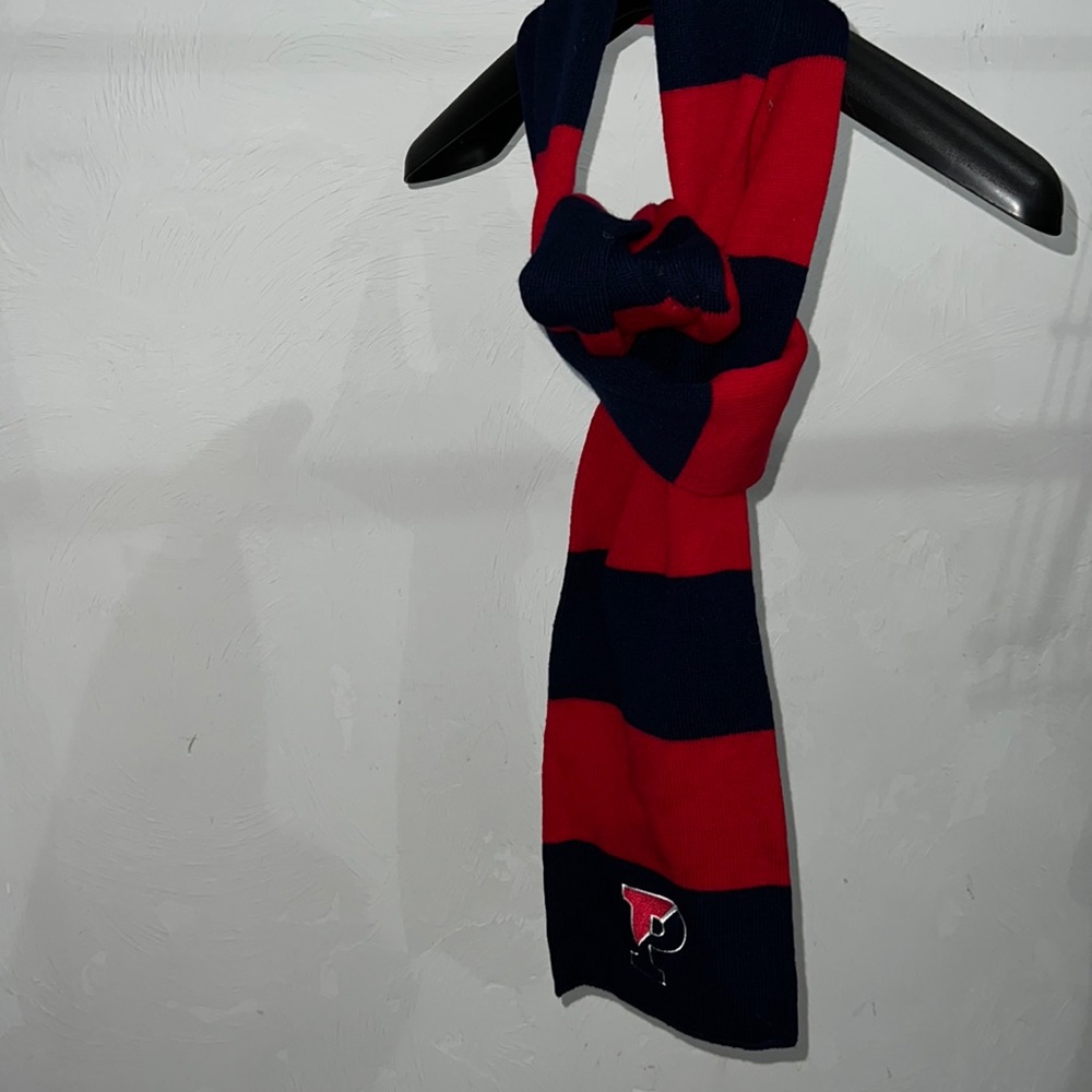 UPENN Scarf